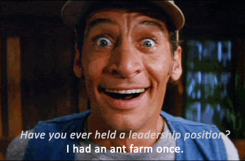 leadership ant farm funny gif
